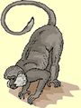 monkey