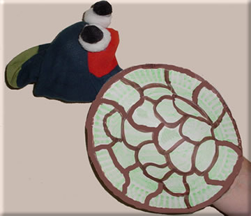Turtle Puppet