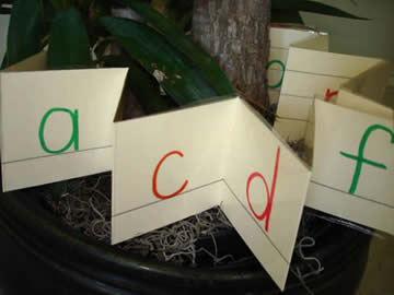 Accordion Book