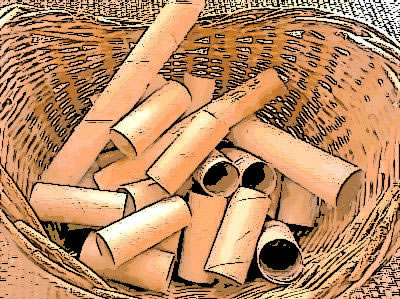 Toilet Rolls in Basket