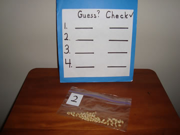Guess and Check
      