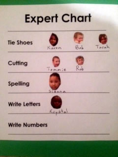 Experts