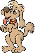 Bow Wow