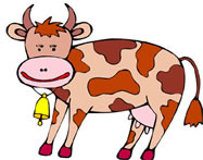 Cow