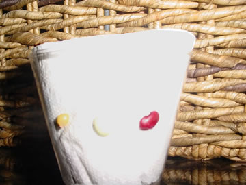 Seed Garden